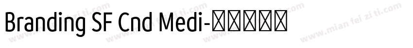 Branding SF Cnd Medi字体转换